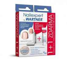 Wartner Nailexpert: recenzije. Antifungalni pripravci za nokte