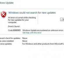 Windows 7, ažuriranje pogreške 80080005: kako popraviti?