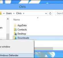 Windows Defender - što je to? Kako mogu onemogućiti Windows Defender 7? Windows 8 Defender