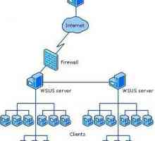 Usluge Windows Server Update Services (WSUS): Postavljanje. WSUS Offline Update