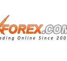 Xforex: отзывы о дилинговом центре. Валютные операции Xforex