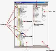 Što je odgovorno za ključ registra sustava Windows HKEY_LOCAL_MACHINE: parametri i osnove uređivanja