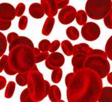 Bolesti krvi: popis najopasnijih