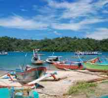 Java Island Riddle: Zanimljive i korisne informacije za turiste