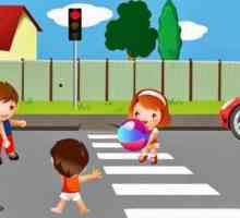 Otajstva na prometnim pravilima za djecu: proučavamo pravila ceste u obliku igre