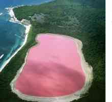 Tajanstvena mjesta na planetu - Pink Lake Hiller