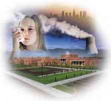 Zagađenje zraka CHP. Ekologija TE
