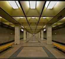 Zatvaranje postaja metroa. Zatvaranje metro stanice u Moskvi