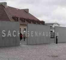 Sachsenhausen je logor koncentracije. Povijest, opis. Zločini nacista