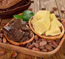 Zamjena kakao maslaca: svojstva, vrste, koristi i štete