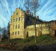 Dvorac Georgenburg: fotografija, adresa, izleti