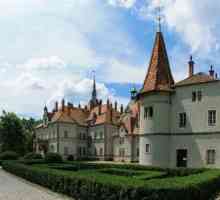 Schönborn Castle, Transcarpathia: opis, povijest