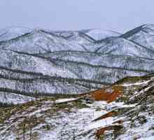 Rezerve Khabarovskog područja: opis, zanimljive činjenice i recenzije