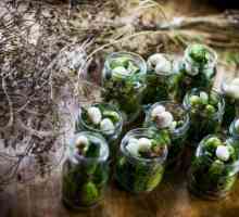 Pickling krastavci: recepti i metode. Sorte krastavaca za kiseljenje