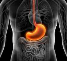 Kongestivna gastropatija: uzroci, simptomi, dijagnoza i liječenje