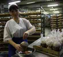 Tvornica pekarskih proizvoda `Dedovskiy kruh `: povijest, proizvodi, adresa