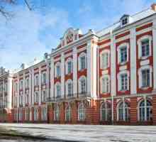 Zgrada Dvanaest fakulteta u St. Petersburgu: opis, stil, fotografija
