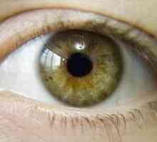 Zeleno-smeđe oči: karakteristične