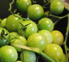 Zelene rajčice pod caprock kapom - kuhanje recepata