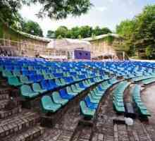 Zeleno kazalište (Kijev): opis, povijest