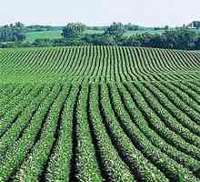Poljoprivredno zemljište: prodaja, zakup, prijenos na IZhS, vrijednost, porezi, dopuštena uporaba i…