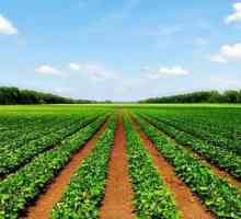 Poljoprivredno zemljište je ... Prijenos poljoprivrednog zemljišta u drugu kategoriju