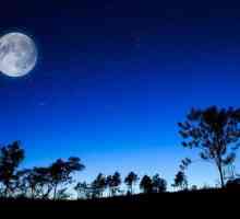 Zemljina noć nevjerojatna je pojava koja se daje čovječanstvu