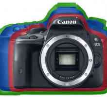 Ogledalo Canon EOS 60D fotoaparat: specifikacije i recenzije
