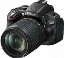 Mirror photoapparatus Nikon D5100 Kit: specifikacije, recenzije stručnjaka i amatera