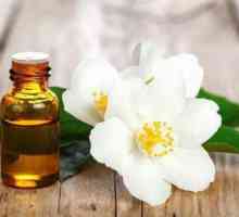 Jasmine, eterično ulje: svojstva, primjena, recenzije