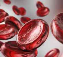 Proizvodi koji sadrže željezo za podizanje hemoglobina: Popis