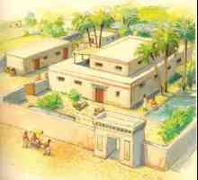 Život baka u starom Egiptu. Uređaj kuće i državne dužnosti plemića