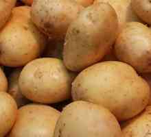 `Zhukovsky` (rano krumpir): recenzije. Krumpir sjeme `zhukovsky`