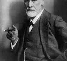 Sigmund Freud utemeljitelj je psihoanalize. Što Freud znači našim ponašanjem?