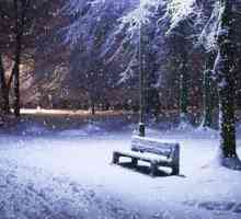 Zima je čarobna sezona. Priroda darove zimi