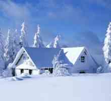 Zimski fenomeni prirode: primjeri