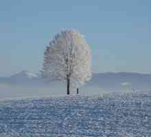Zimski mjeseci povezani s pojavama divljih životinja: drevna imena