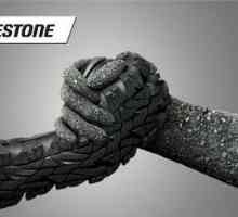 Zimske gume `Bridgestone`: recenzije. Zimske gume "Bridgestone":…
