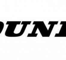 Zimske gume Dunlop Winter Maxx SJ8: recenzije vlasnika, karakteristika i značajki
