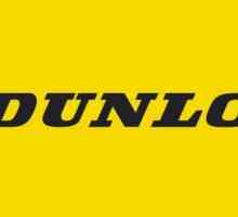 Zimske gume `Dunlop`: recenzije kupaca