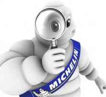 Zimske gume `Michelin`: recenzije vlasnika