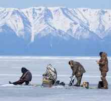 Zimski ribolov u regiji Murmansk: fotografije i recenzije