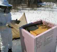 Zimovanje pčela na ulicama u različitim regijama Rusije. Priprema pčela za zimovanje na ulici