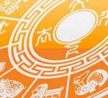 Zmija i zec: kompatibilnost na istočnom horoskopu