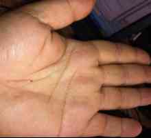 Značenje moljaca na dlanu: što kažu palmistry?