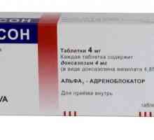 `Zoxon`: upute za uporabu. Lijekovi `Zoxon`: recenzije
