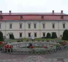 Zolochiv Castle: opis, fotografija, povijest, kako doći