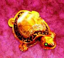 "Zlatna kornjača" (Perm): opis, fotografija