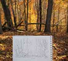 Zlatni jesen: kako nacrtati olovku, boje, gouache