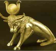 Zlatni bik. Obožavanje zlatnog tele
